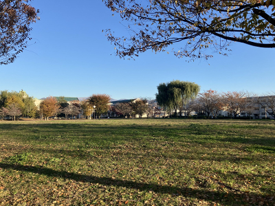 三本柳中央公園