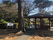 つつじ公園