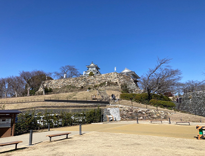 浜松城公園