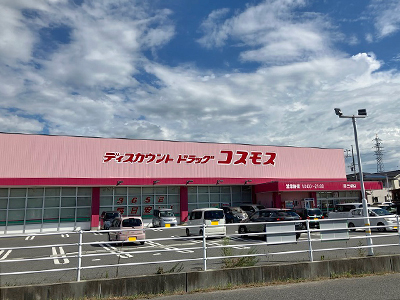 ディスカウントドラッグコスモス両三柳店