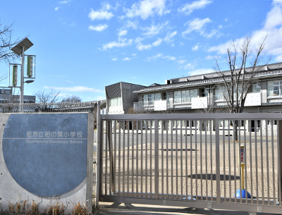 市立柏の葉小学校