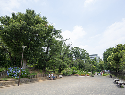 天王山公園