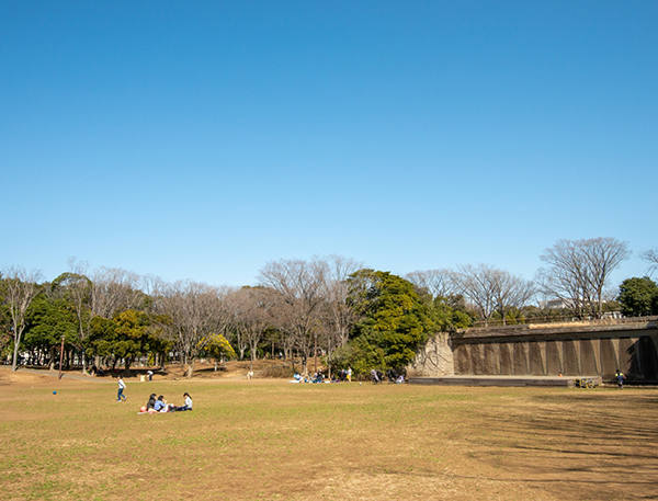 茅ヶ崎中央公園