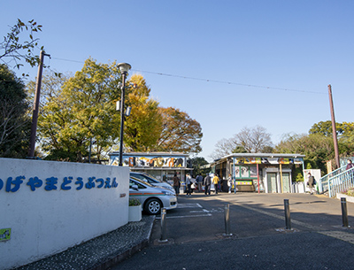 野毛山動物公園