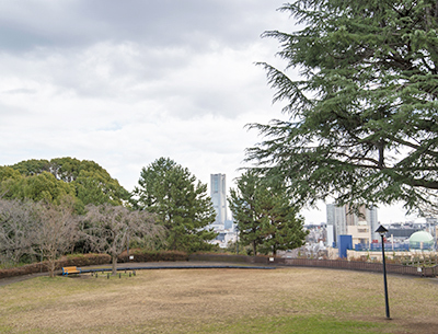 浅間台みはらし公園