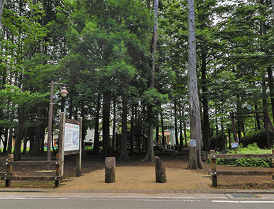 宇都宮記念公園仲よし広場