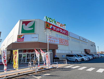 ヨークマート入間店