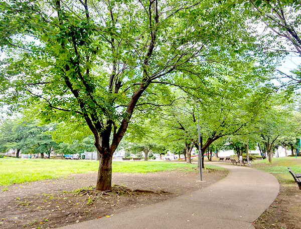 勝瀬原記念公園