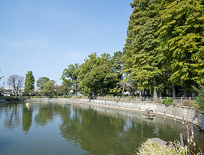 碑文谷公園