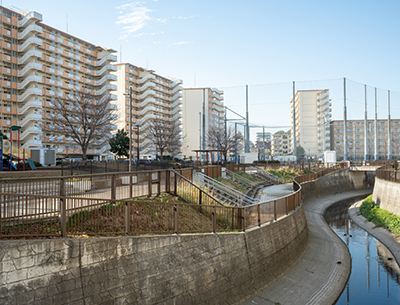 中野区立白鷺せせらぎ公園