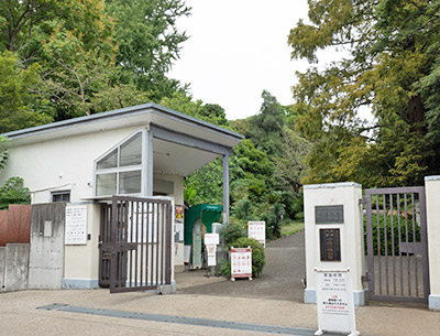 小石川植物園