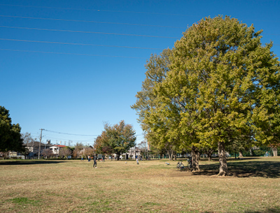 東伏見公園