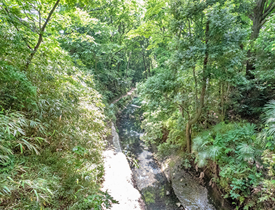 等々力渓谷公園