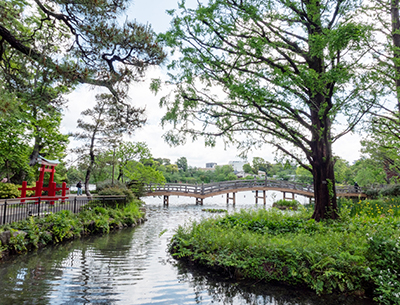 洗足池公園