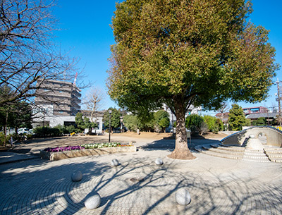 練馬区立中村南公園