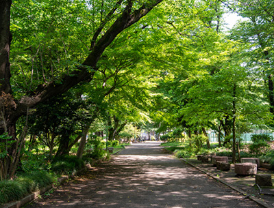 旭が丘中央公園