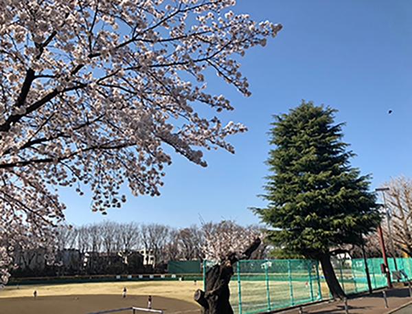 町田中央公園