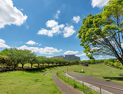 若葉台公園