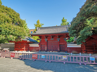 東京大学