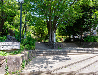 西郷山公園