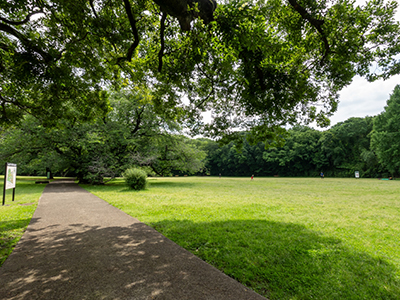 都立砧公園