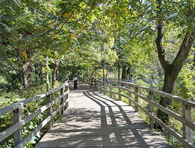 石神井公園