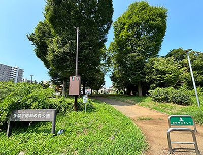 多摩平御料の森公園