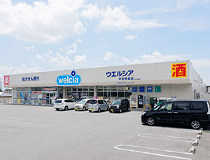 ウエルシア甲斐敷島店