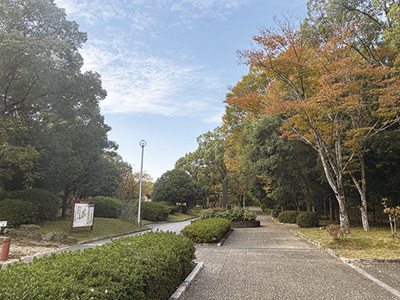 大渕池公園