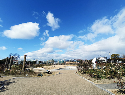 若園公園 バラ園