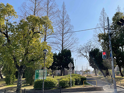 津雲公園