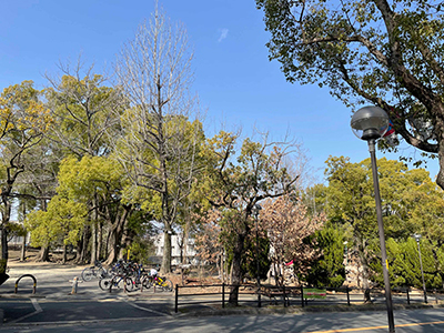 さるすべり公園