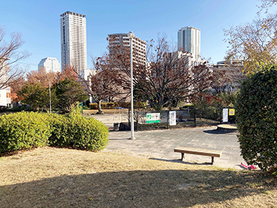 からたち公園