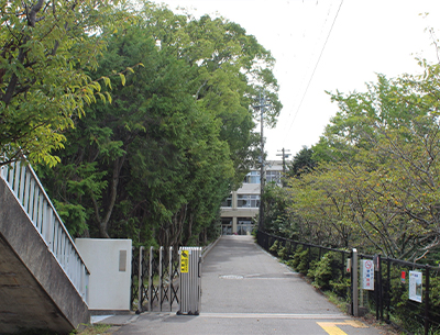 草津市立志津小学校