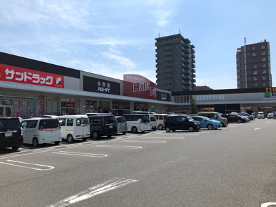 ハローデイ共立大前店