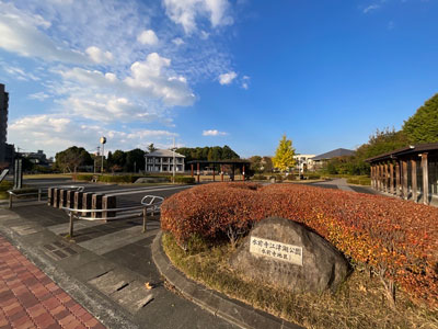 水前寺江津湖公園