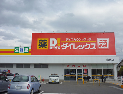 ダイレックス鳥栖店