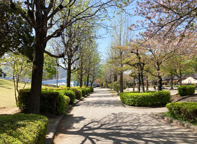 田宮運動公園