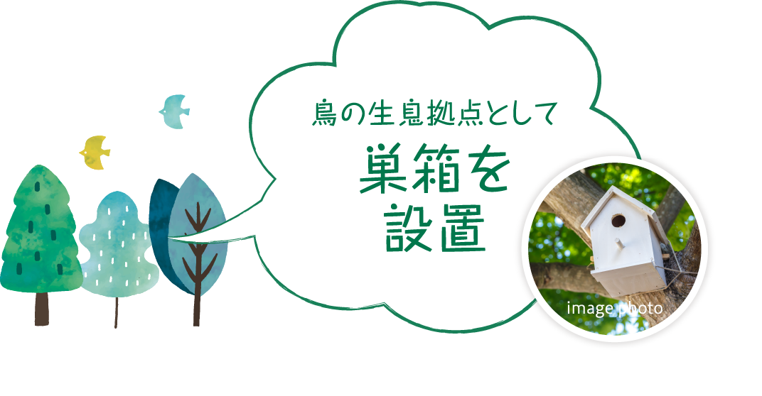 鳥の生息拠点として巣箱を設置