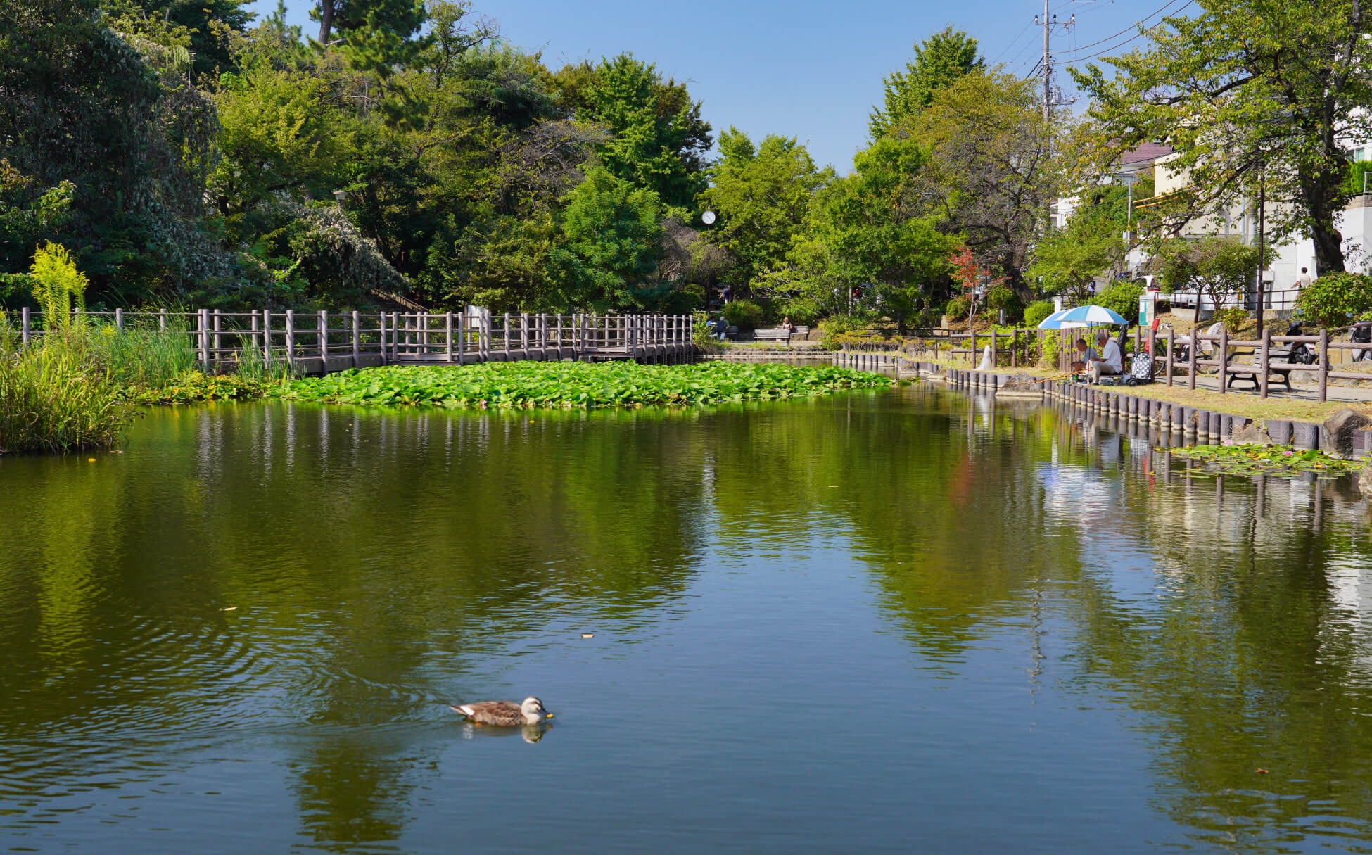 白幡池公園