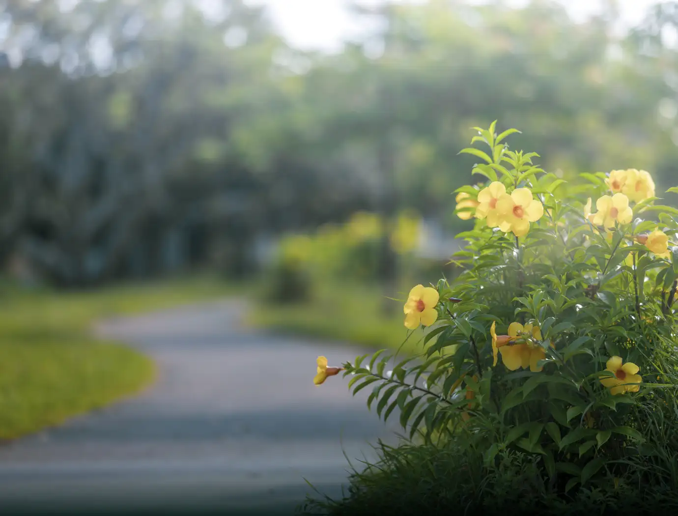 新都心公園