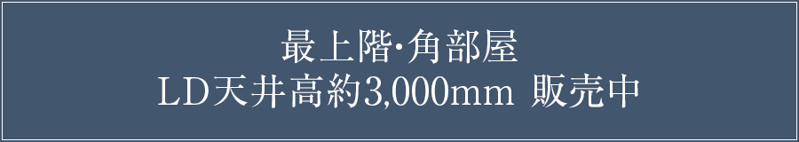 最上階・角部屋・LD天井高約3,000mm 販売中