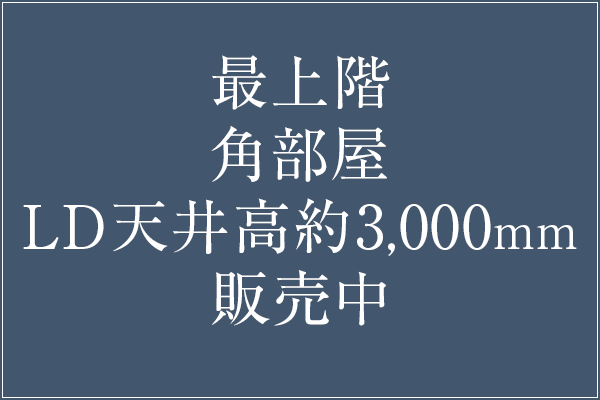 最上階・角部屋・LD天井高約3,000mm 販売中