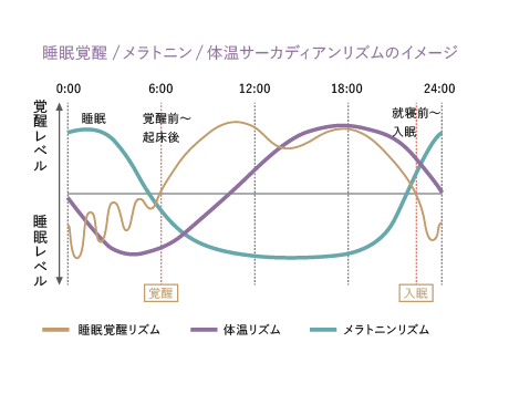 睡眠覚醒/メラトニン/体温サーカディアンリズムのイメージ