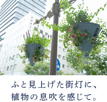 ふと見上げた街灯に、植物の息吹を感じて。