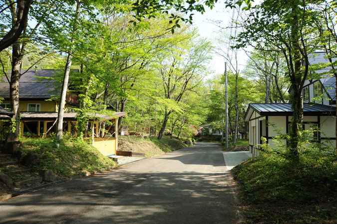 新緑がまぶしい第Ⅰ期分譲地の風景