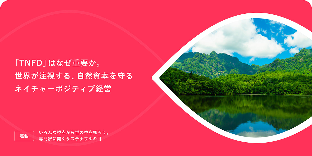 連載：いろんな視点から世の中を知ろう。専門家に聞くサステナブルの目 「TNFD」はなぜ重要か。世界が注視する、自然資本を守るネイチャーポジティブ経営