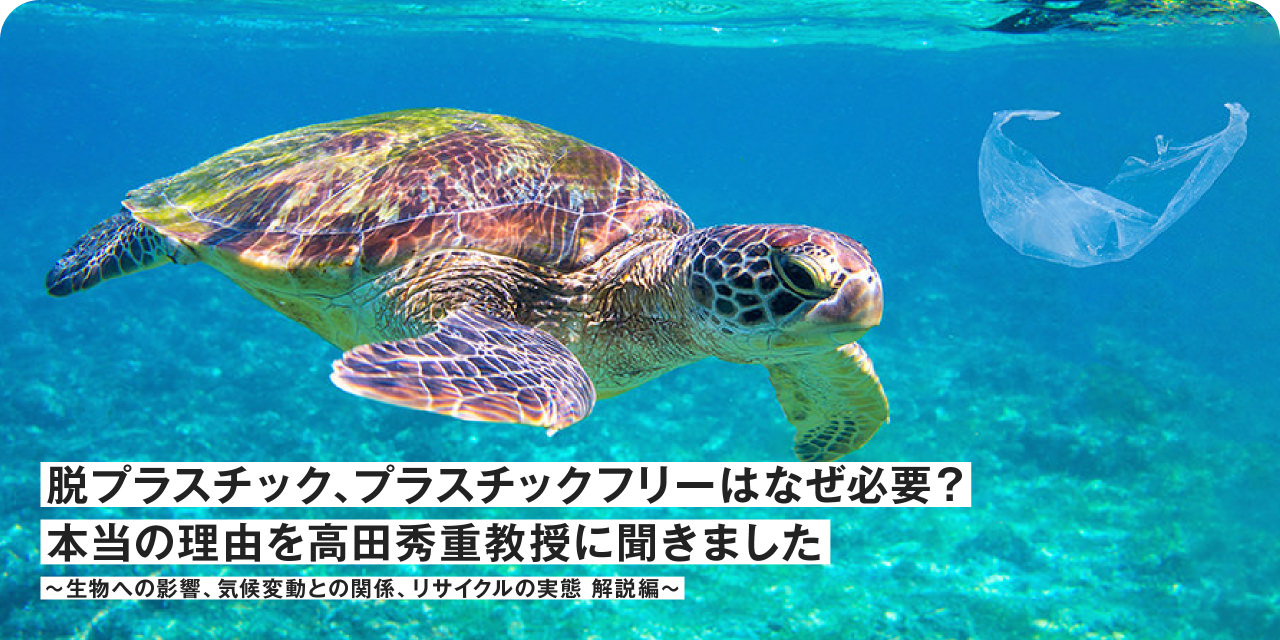 脱プラスチック、プラスチックフリーはなぜ必要？本当の理由を高田秀重教授に聞きました ～生物への影響、気候変動との関係、リサイクルの実態　解説編～