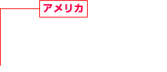 アメリカ 建設事業、商業施設事業 サービスアパートメント事業 不動産開発事業、賃貸住宅事業 戸建住宅事業、海外建設技術調査