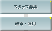 スタッフ募集　選考・雇用